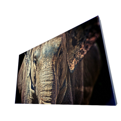 Montagem planar da parede do painel de LD550DUN-THB6 Lcd para a parede video