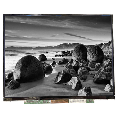 LTD121EDDX 60Hz TFT LCD display para laptop