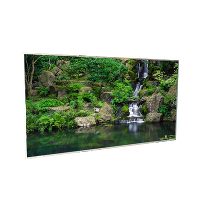 29.5 polegadas T296XW01 V2 LCD Display