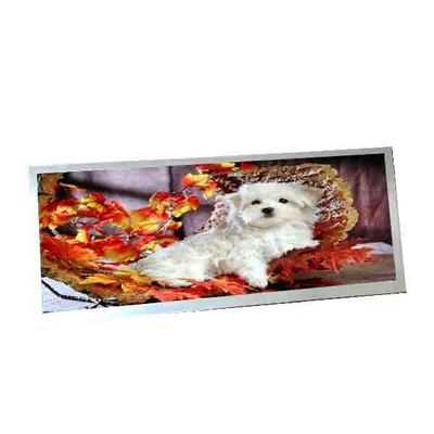 Para AUO C123HAN02.5 12,3 polegadas 40 pinos LCD