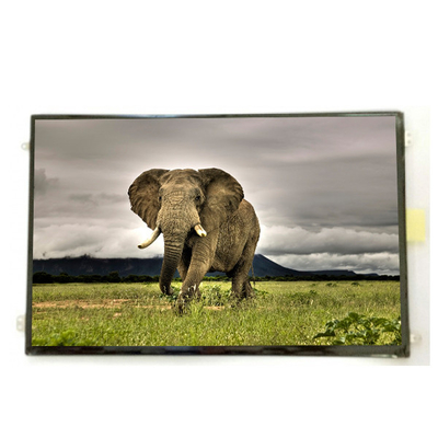 B101UAN01.9 10,1 polegadas 16,7M 52% NTSC LCD Display