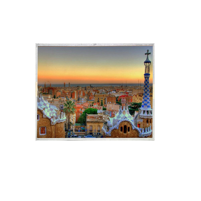 LC121S1-A1MT 12,1 polegadas 20 pinos 800 * 600 Industrial LCD