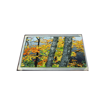LC200WX1-SL01 20,0 polegadas 1366*768 LCD Display