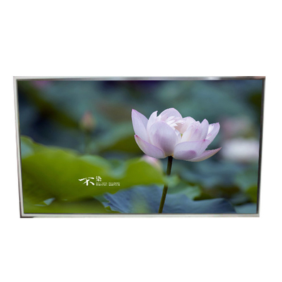 49Modulo de Ecrã LCD de 0,0 polegadas LD490EQE-FPA1 Painel de exibição LCD