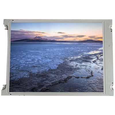 SX25S004-ZZA 10,0 polegadas 800 * 600 LCD Display