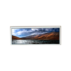 AV078ZAU-N10 7.8 polegadas LCD Painel de tela para exibição de automóveis