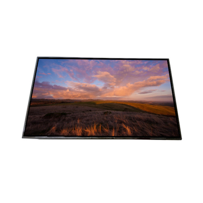 AV101HDM-N10 10,1 polegadas LCD Screen Display LCD MODULO