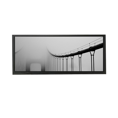 AV103Z7M-N1C-D8P0 10.3 polegadas LCD Display LCD