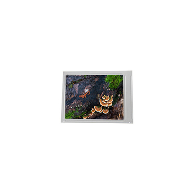 LM64P89N 10,4 polegadas 640*480 LCD Screen LCD MODULE