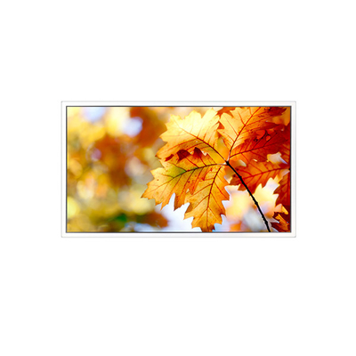 EV238FHM-N12 23,8 polegadas 1920*1080 LCD Monitor