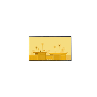 GV050WVM-A81 800*480 5,0 polegadas LCD Touch Screen
