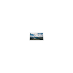 640*480 6,4 polegadas P64CV1 262K 350 cd/m2 Ecrã LCD