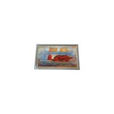 Hot Sell 800*480 AM-800480S5LMQW-00 7,0 polegadas 1000: 1 painel LCD