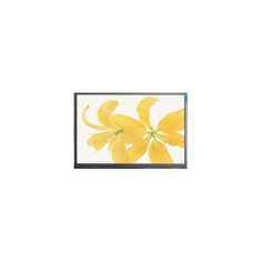 10.4 polegadas LPM104GNX1 R1 TFT LVDS 262K LCD Panel Monitor