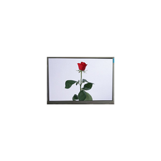 7.0 polegada M070AWAD R0 1280 * 720 TFT tela LCD para automóvel