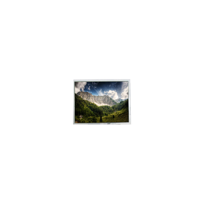 FG050700DSCWDG01 320*240 LCD touch screen