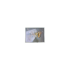 FG050722DSSWDGL2 640*480 5,7 polegadas 20 pinos Peças de tela LCD