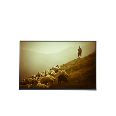 B170WP04 V0 17,0 polegadas Painel de exibição LCD 1440*900 Ecrã LCD