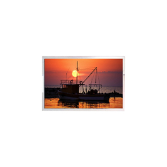 WF101JSYJHLNB0# 10,1 polegadas 1024*600 LCD Display Screen