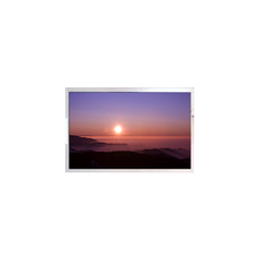 Novo painel de 8,0 polegadas WF80BTIAGDNTC # LCD