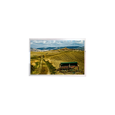 10.1 polegada LCD Display RV101FBB-N02-V1 nova tela LCD