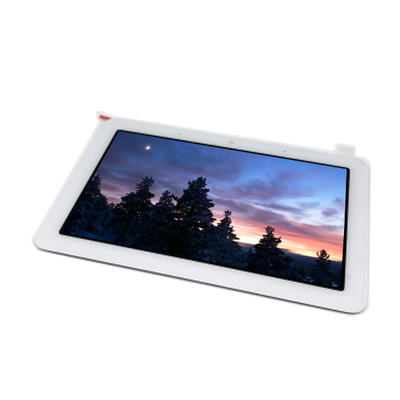 Novo TV070WSM-TG1 de 7,0 polegadas 600*1024 painel de exibição LCD
