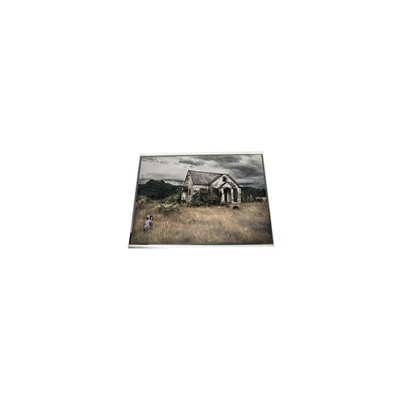 Ecrã LCD HSD055BHW8-C00 5,5 polegadas