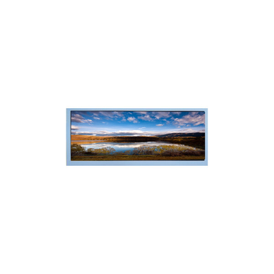 M102AWF2 R2 10,3 polegadas 1920 * 720 painel de exibição de tela LCD