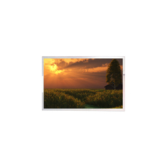 CELL 21.5 inch 1920*1080 LCD Screen Module