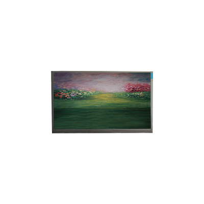Ecrã LCD Para 13.3 polegadas R133NWF4 RB módulo LCD