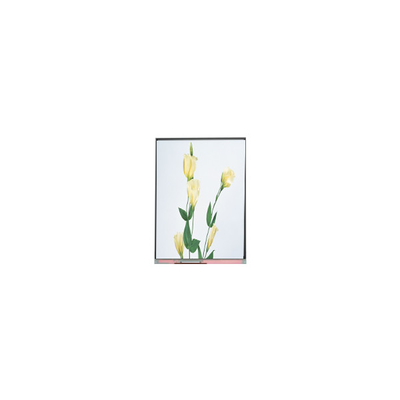 C059SWR1-0 5.9 polegadas painel de exibição de tela LCD para telefone móvel