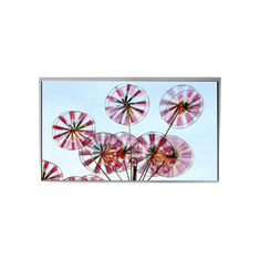 M270DAN05.0 CELULA 27.0 polegadas 2560*1440 a-Si TFT-LCD
