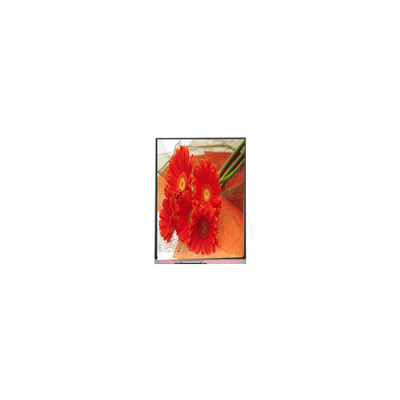 5.5 polegadas C055SWY9-0 tela LCD para telefone móvel