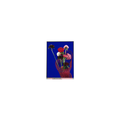 5.4 polegadas C054SWR6-0 540 * 1132 tela LCD para telefone