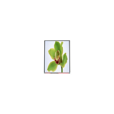 5.0 polegadas TFT tela LCD 480 * 854 C050SWYG-3
