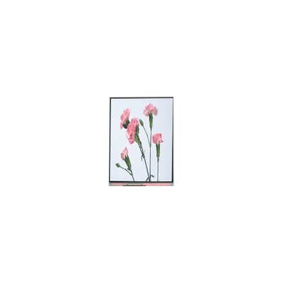 C060SWA3-3 6,0 polegadas 720*1280 LCD Display Screen Para Telefone