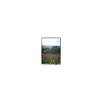 5.5 polegadas LS055B1SX01B painel LCD com toque para telemóvel