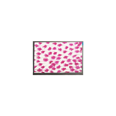 9.0 polegadas 800*480 LCD Display E090SWP1 R2 painel LCD