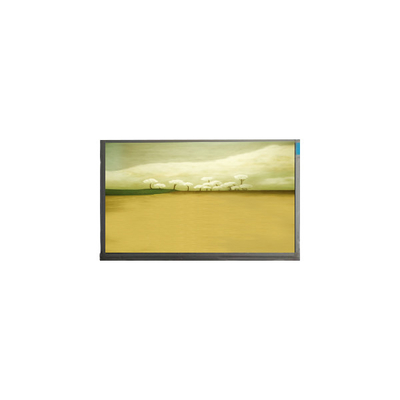 21.5 polegadas M215HJK-L3B painel de ecrã LCD 1920*1080 LCD Display