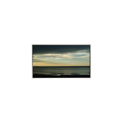 TT101WSB-NW0 painel LCD 10,1 polegadas 1024 * 600 LCD