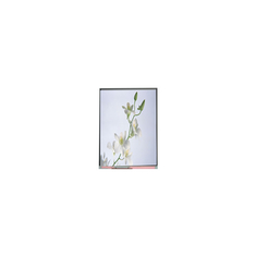 C060SWZ1-0 NOVO 6,0 polegadas 540*960 LCD Display