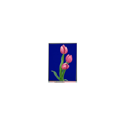 C055SWF4 R0 Módulo LCD TFT LCD de 5,5 polegadas