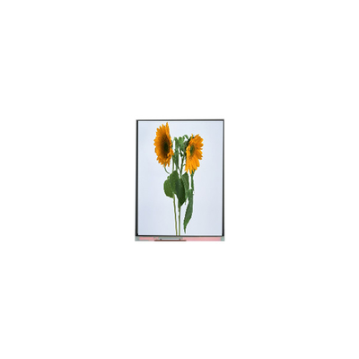 9.0 polegadas IVO painel LCD C090SWT3-0 1024*600 módulos de exibição LCD