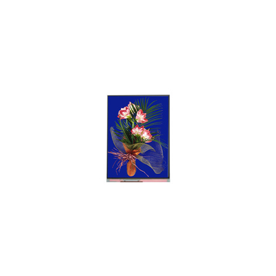 5.4 polegadas painel LCD 540*960 C054SWN1-1 módulo de exibição LCD