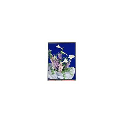 C054SWN1 R0 tft Ecrã LCD Display 5,4 polegadas painel LCD