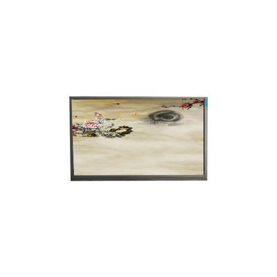 P236MWF2 R0 23,6 polegadas 1920*1080 TFT-LCD