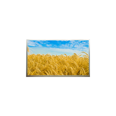 M216H1-L001 21.6 polegadas 1920*1080 FHD LCD display com monitor de desktop