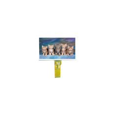 TM070RDH11 7,0 polegadas 800*480 LCD Display Screen