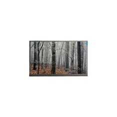 MT200LW01 V.0 Painel LCD de 20,0 polegadas 30 pinos