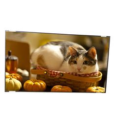 15.6 polegadas B156RW01 V1 HW0A 1600 * 900 módulo de tela LCD